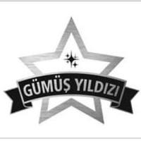 Gümüş Yıldızı logosu