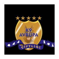 K9 Petshop logosu