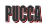 Pucca logosu