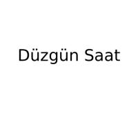 Düzgün Saat logosu