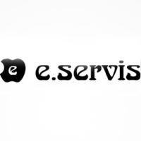 E-servis logosu