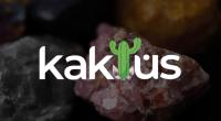Kaktüs Gıft Store logosu
