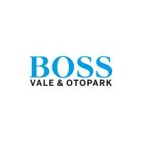 Boss Oto Yıkama logosu