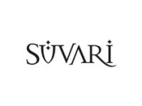 Erd Grup Süvari logosu