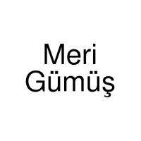 Meri Gümüş logosu