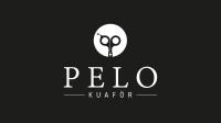 Pelo Kuaför logosu