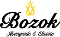 Bozok logosu