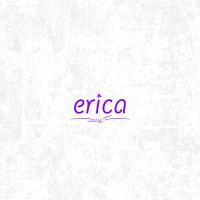 Erica Bujiteri & Takı logosu