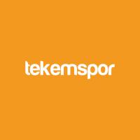 Tekem Spor logosu