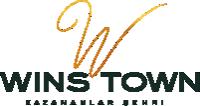 Winstown AVM logosu