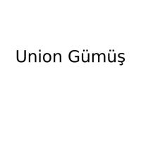 Union Gümüş logosu